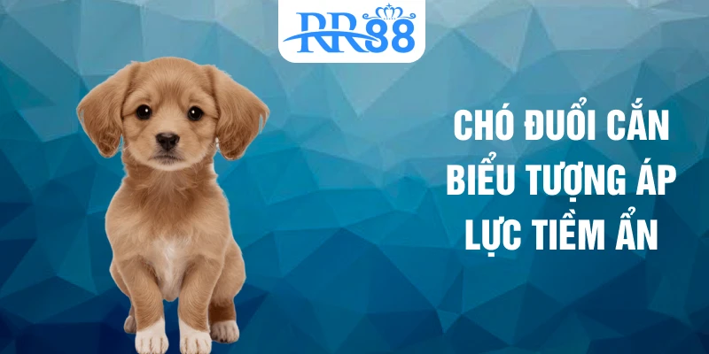 Chó đuổi cắn biểu tượng áp lực tiềm ẩn