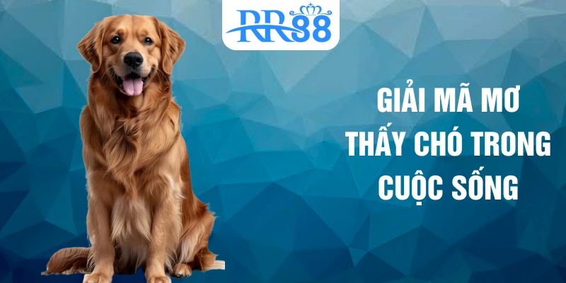 Giải mã mơ thấy chó trong cuộc sống