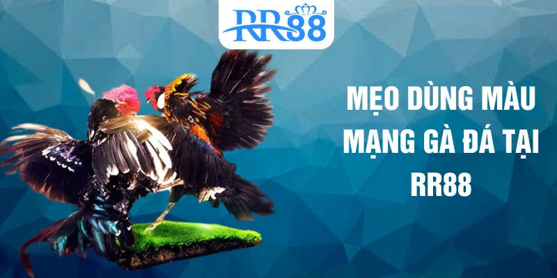 Mẹo dùng màu mạng gà đá tại RR88