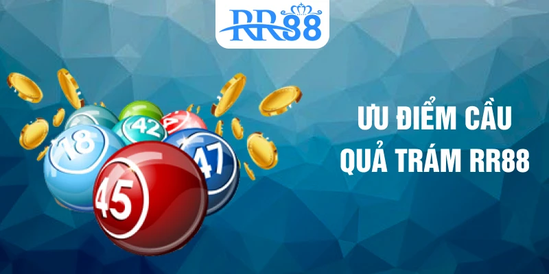 Ưu điểm cầu quả trám RR88